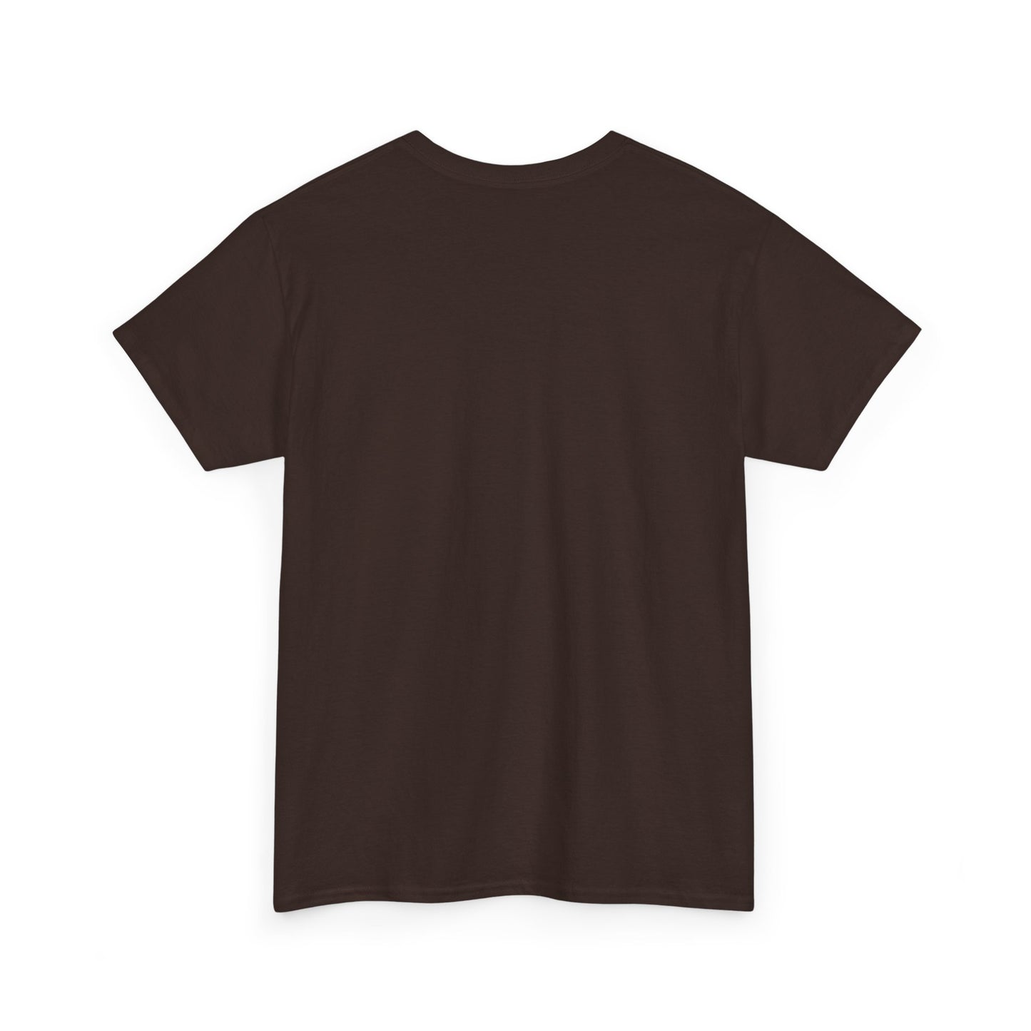 Motivational Unisex Tee  Embrace Your Shine, Casual Wear, Gift for Graduates, Positive Affirmation Shirt
