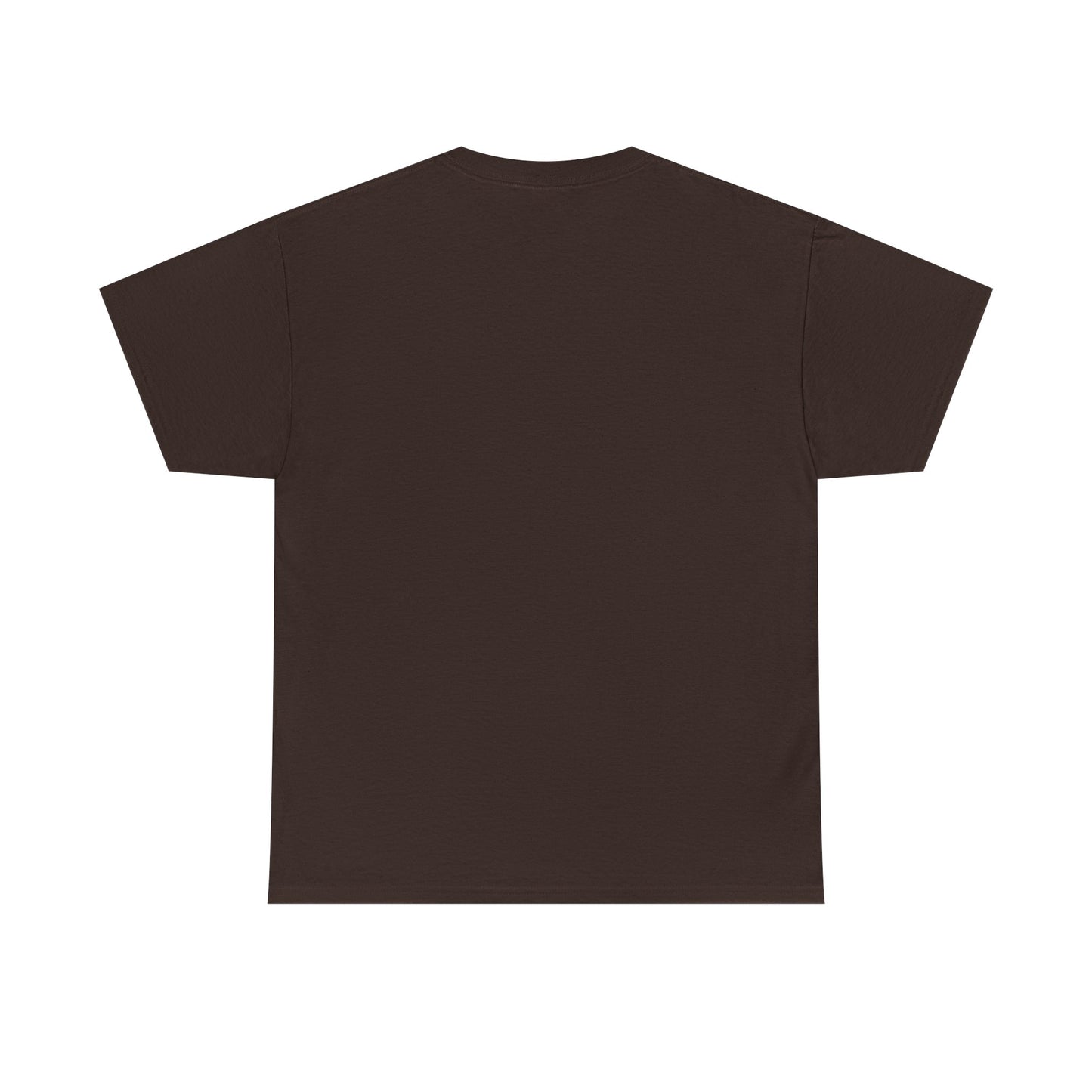 Motivational Unisex Tee  Embrace Your Shine, Casual Wear, Gift for Graduates, Positive Affirmation Shirt